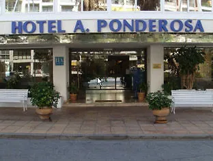 Apart Otel Borinquen 2*