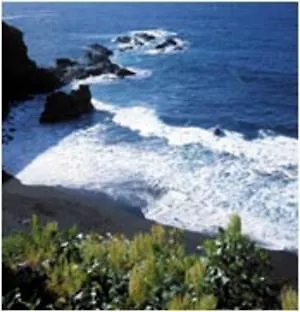 Borinquen 2*